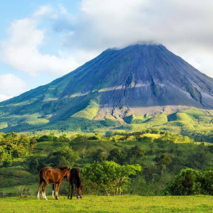 Transfer Fortuna Arenal to Guanacaste Peninsula de papagayo