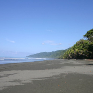 Transfer San Jose to playa Dominical south pacific