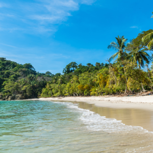 Transfer San Jose to playa Uvita ojochal south pacific