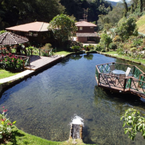 Private Transfer San Jose Area to Santa Gerardo de Dota