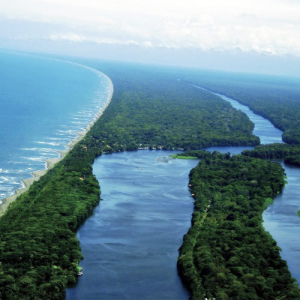 Tortuguero One Day Tour